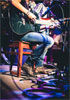 Jamie Meyer @ Blubird Cafe 2014